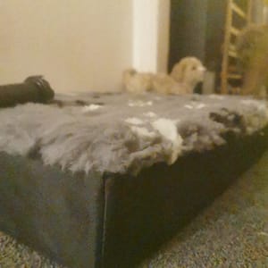 Blokkussen Hondenmatras met vetbedhoes Voetprint grijs