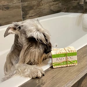 Rad Dog Stink Relief Shampoobar met lavendel