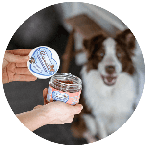 Hond Gezonde Beloning Mini Hartjes – 100 gram