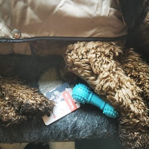 Rubber toy squeak voor Pups en kleine hondjes