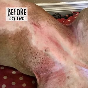 Balsem Skin Therapy | Huidcreme 60 ml blik