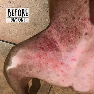 Balsem Skin Therapy | Huidcreme 60 ml blik