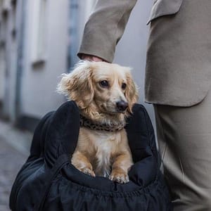 Auto Reismand – Honden autostoel Zeer luxe – 3 maten