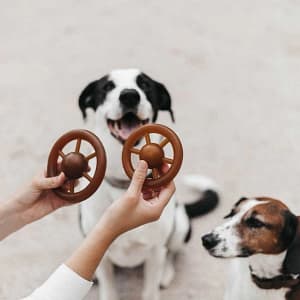 Rub Wheel hondenspeelgoed