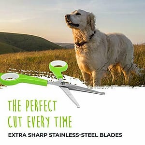 Scharenset pup/beginners stainless steel