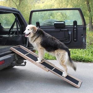 Honden loopplank hout