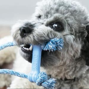 Kong Bone met touw voor pups
