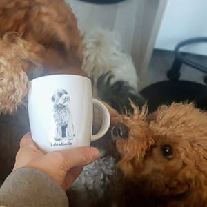 Koffiemok Labradoodle Dog mug