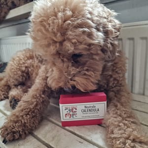 Shampoobar Calendula voor Pups