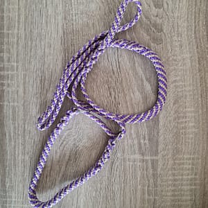 Martingale slip halsband met wandelkoord 1.20 Paars