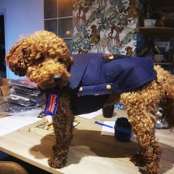 waxcoat for dogs
