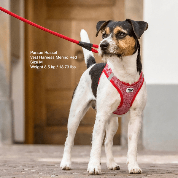 Haarvaten Vul in Dood in de wereld Curli Stretch Comfort Leiband Red M – Dogs en Doodles Shop